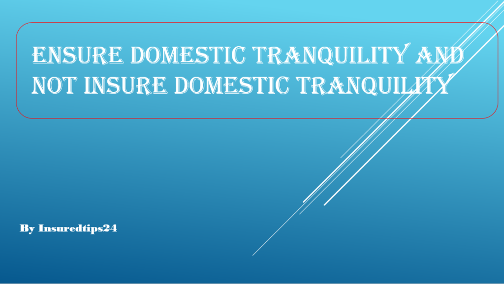 What Does Insure Domestic Tranquility Mean