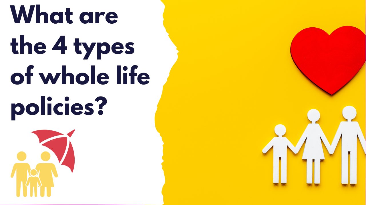 what are 4 types of whole life policies ng